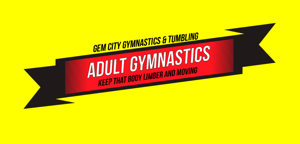 Adult Gymnastics