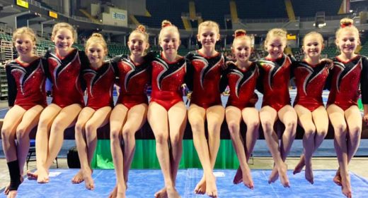 Level 4 gymnastics team